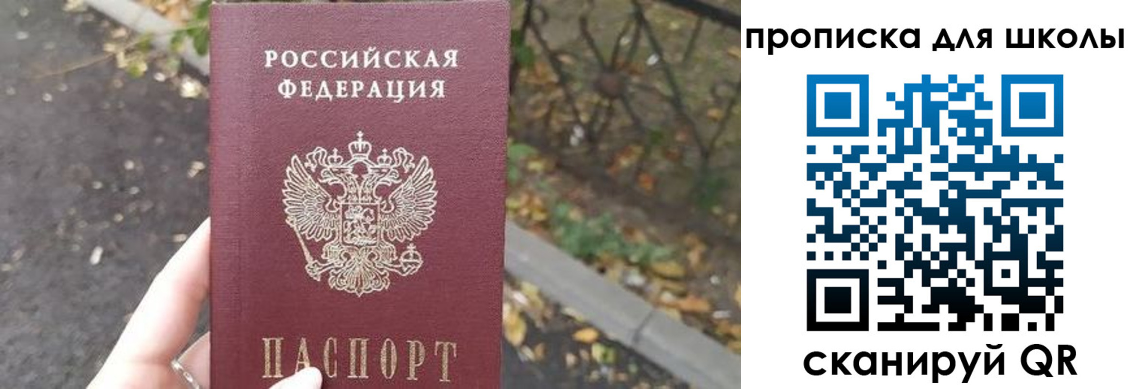 временная регистрация гарантия в Алексине